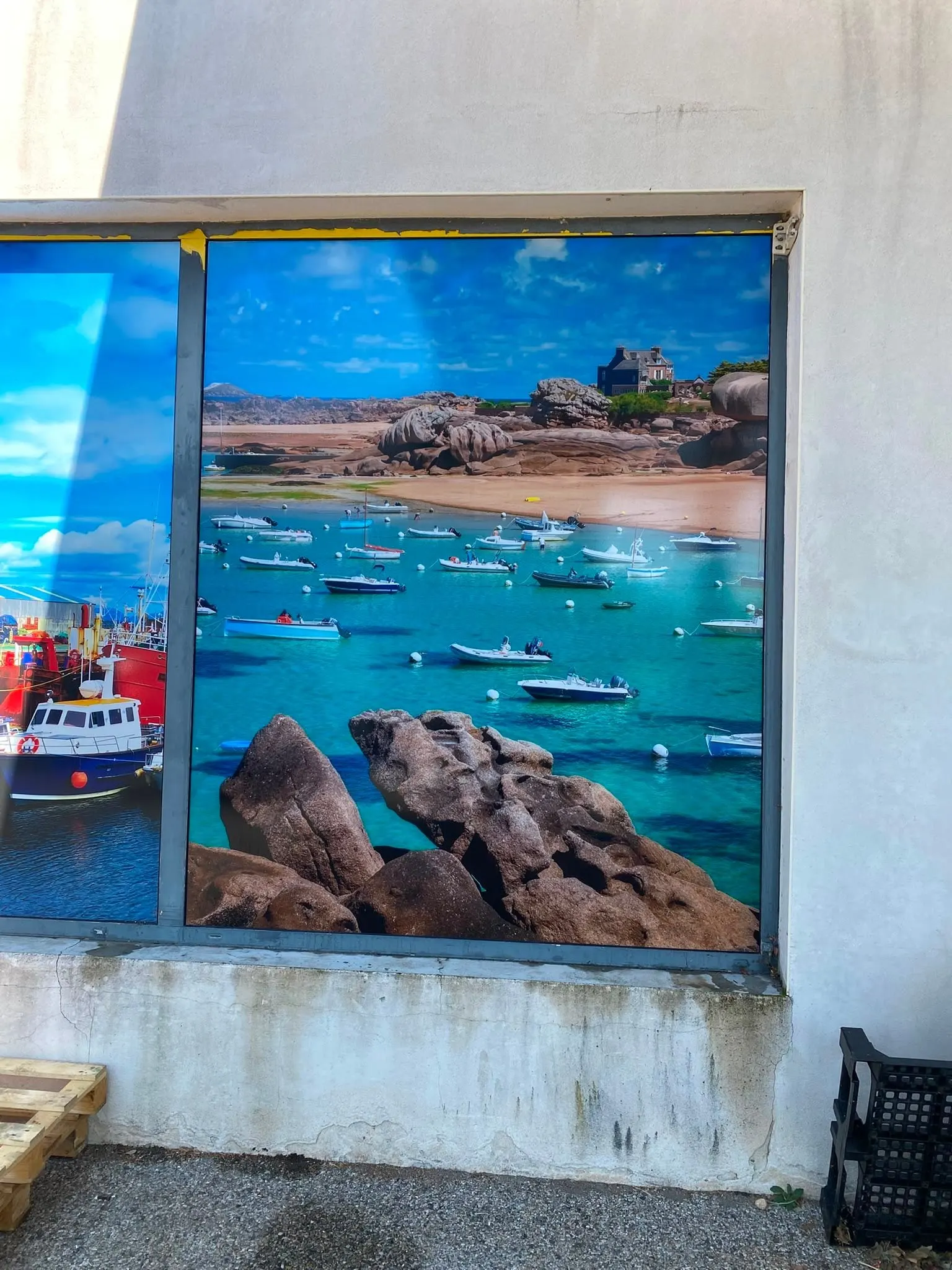 Vitrine habillée d'un grand visuel de fonds marins